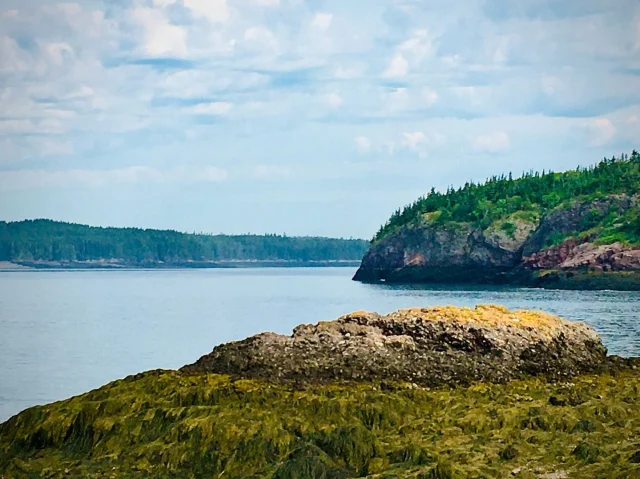 Blacks Harbour is one of the unique locations at the coast of New Brunswick. From there Ferries ⛴️ go to the islands in the archipelago of the Bay of Fundy. 🌊