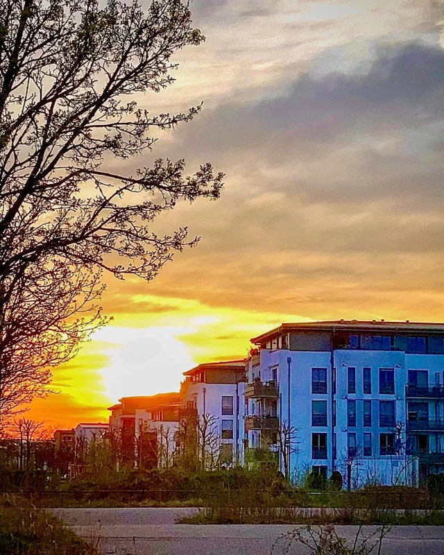 Golden hour vibes in the city….
.
.
.#citysunset #goldenhourlight #eveningwalks👣 #goodnight #goldensky #happy #sunsetgram #instasunset #cityvibes☀️ #sungoesdown🌅 #afterfivepm