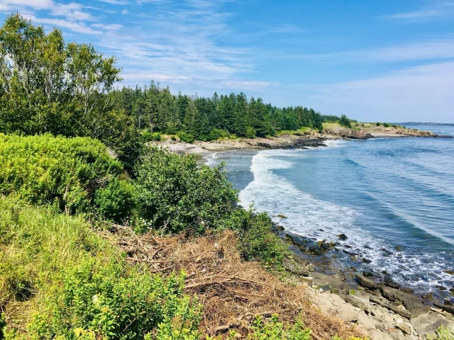 Wild shoreline, lovely people, fish and outdoor activities all the way down: that’s Grand Manan Island. Not to forget its long and rich history of fishing 🎣 and boating 🚤⛵️🛥️⚓️🛶 .