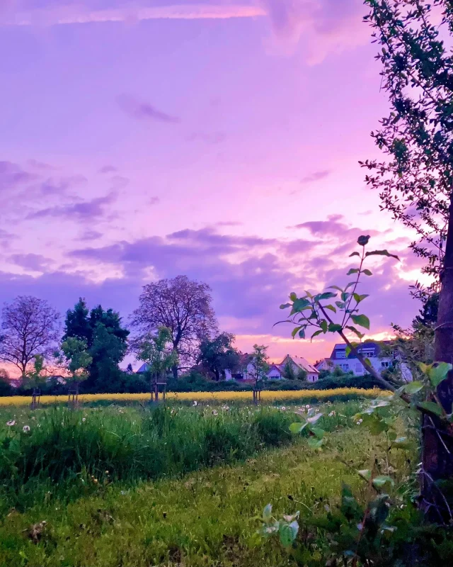 Sunrise over Prüfenig 💜